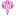 Favicon van yourwishlist.nl