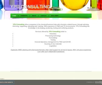 YPU Consulting