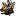 Favicon van yukishrimp.nl