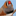 Favicon van zebravinken.nl