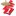 Favicon van zeemanshoop.nl