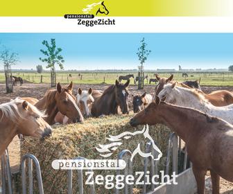 http://www.zeggezicht.nl