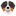 Favicon van zicta.nl