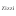 Favicon van zizzi.nl